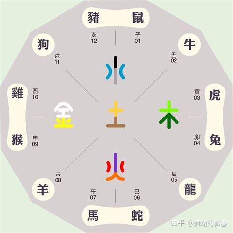 各國五行屬性|生肖纪年